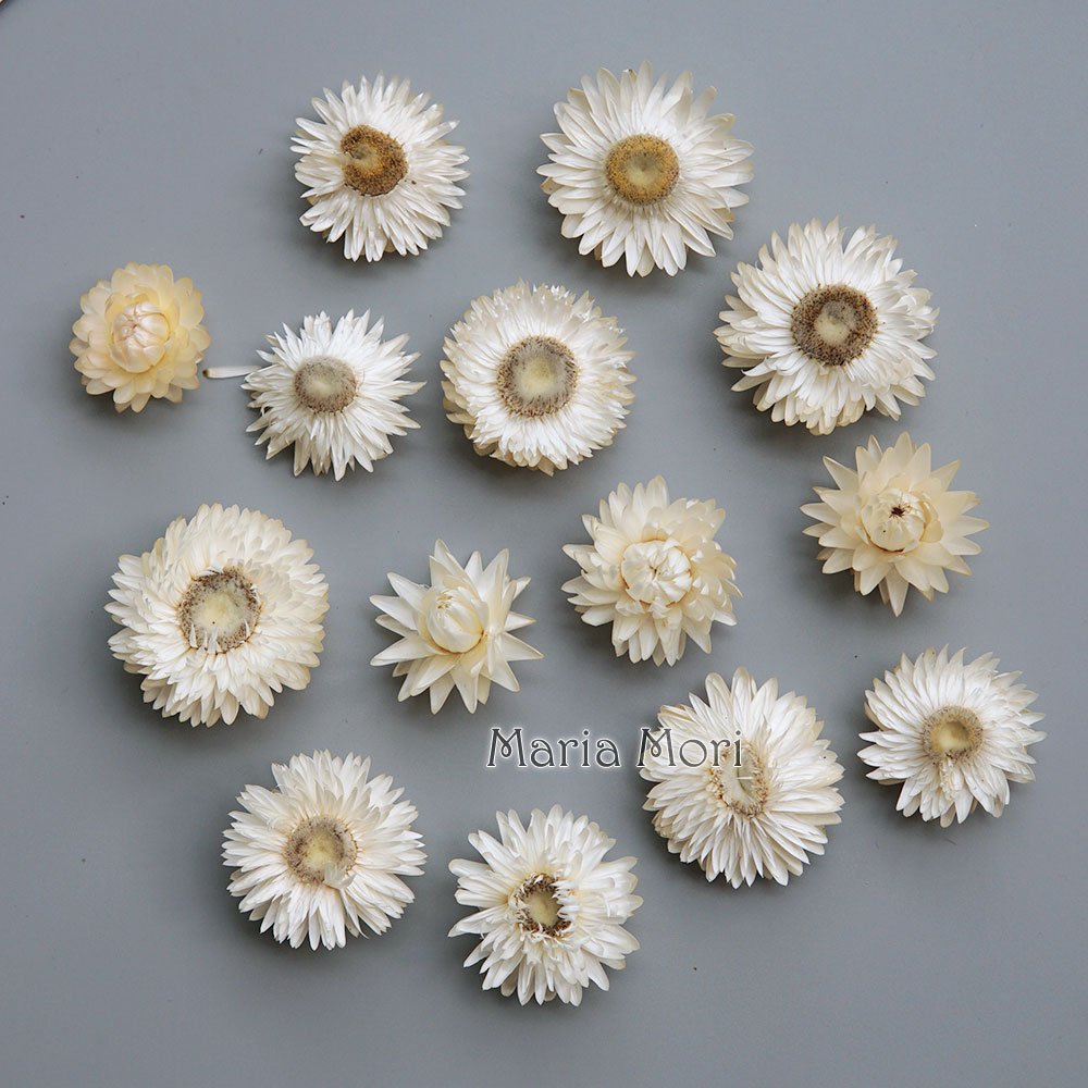 Natural Dried Colorful Chrysan - Holiday Candle Set recension och pris